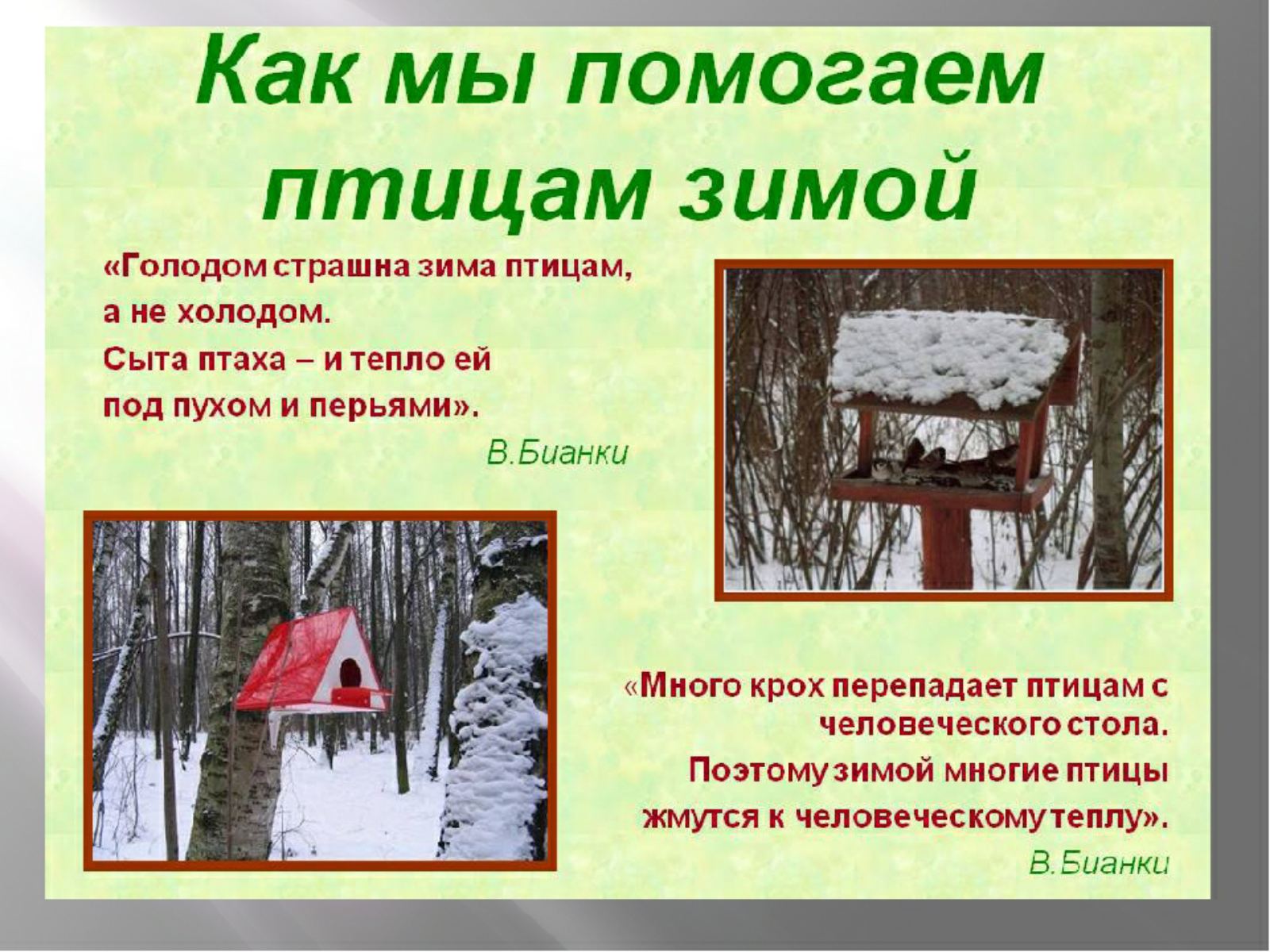 Стенгазета как помочь животным в зимнее время. Как помочь животным зимой. Как поморч жевотнам в зисмнейэ время. Как помочь животными в зимнее время. Поможем зимующим птицам.